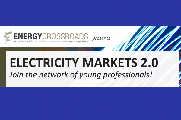 Electricity Markets 2.0. Young professionals network