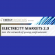 Electricity Markets 2.0. Young professionals network